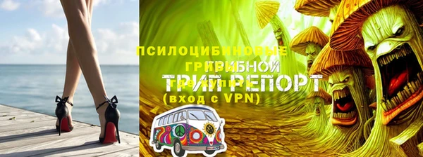 ешки Костерёво