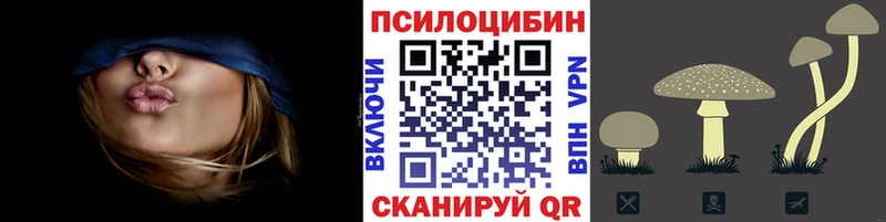 Псилоцибиновые грибы мицелий  Поронайск 